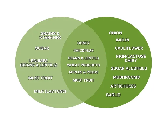Venn diagram comparing which foods keto removes versus which foods a low-FODMAP diet removes